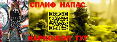 сатива Обь