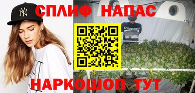 сатива Обь