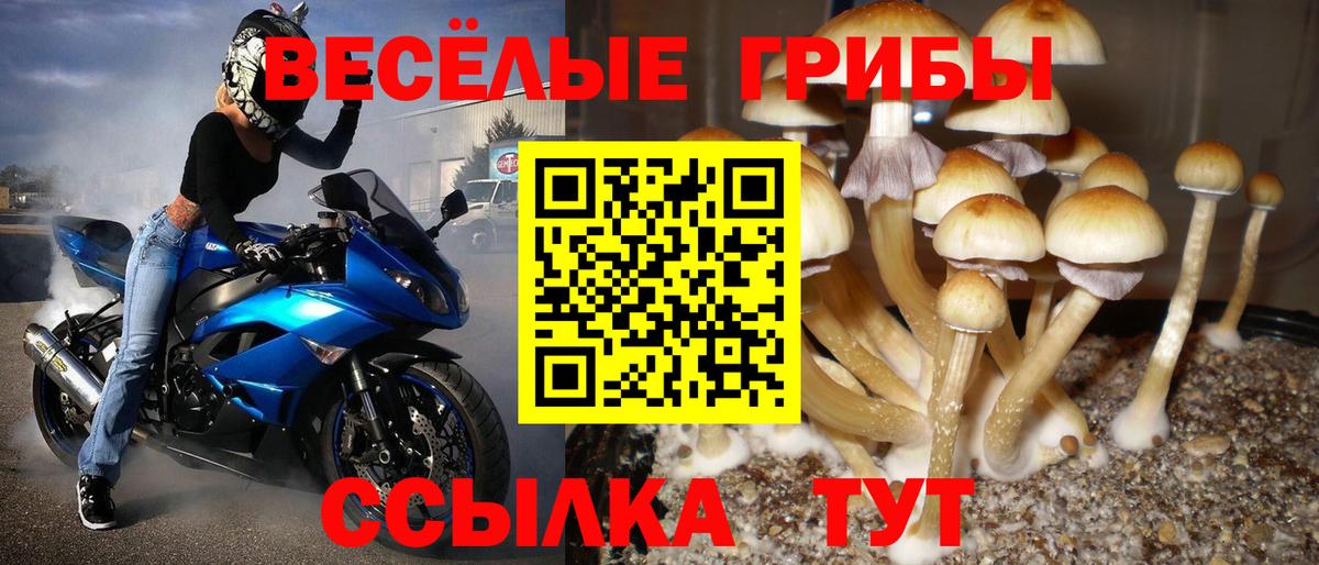 Галлюциногенные грибы Magic Shrooms  где найти наркотики  Рассказово  Вход с VPN 